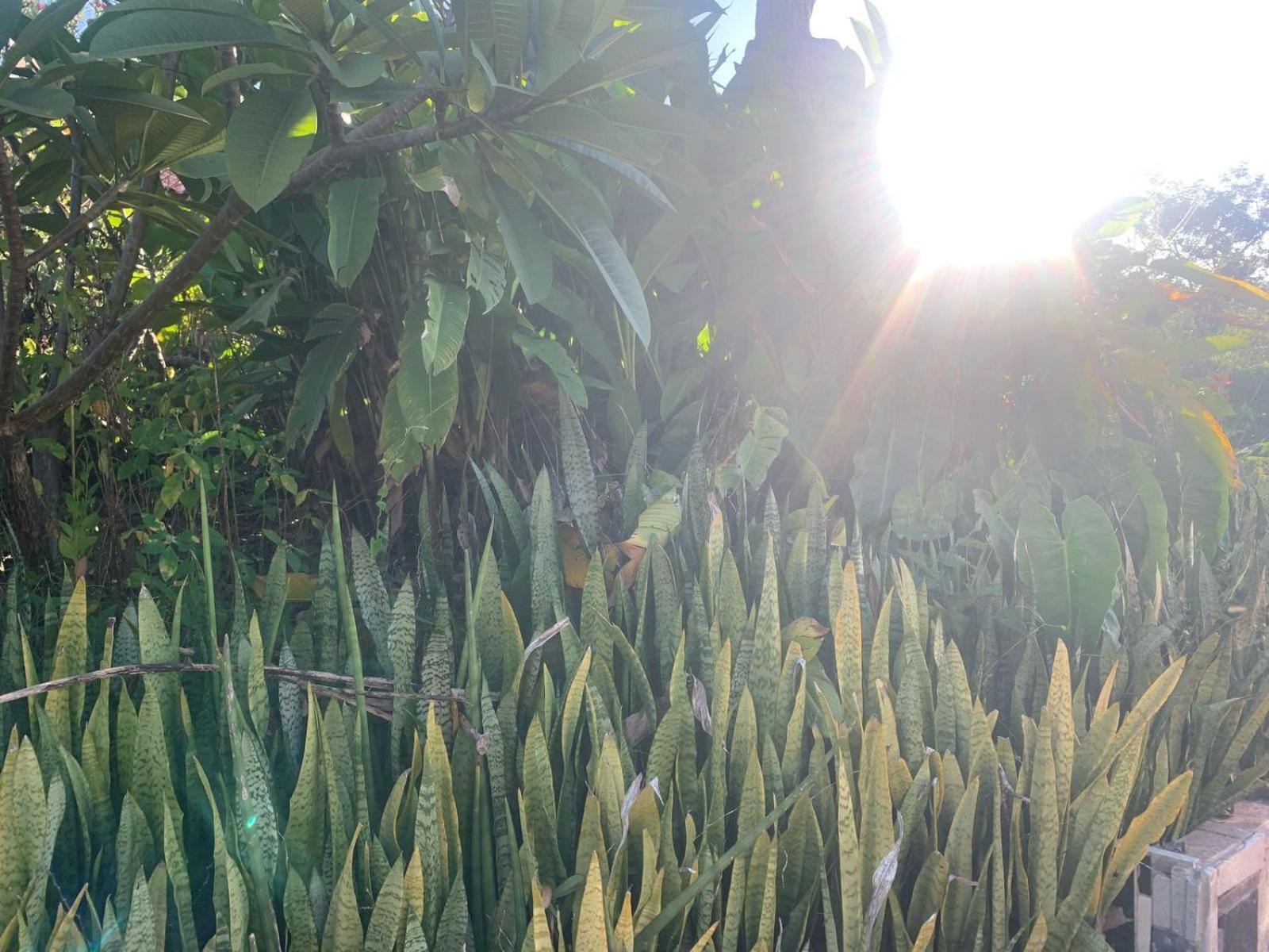 Casa Savana