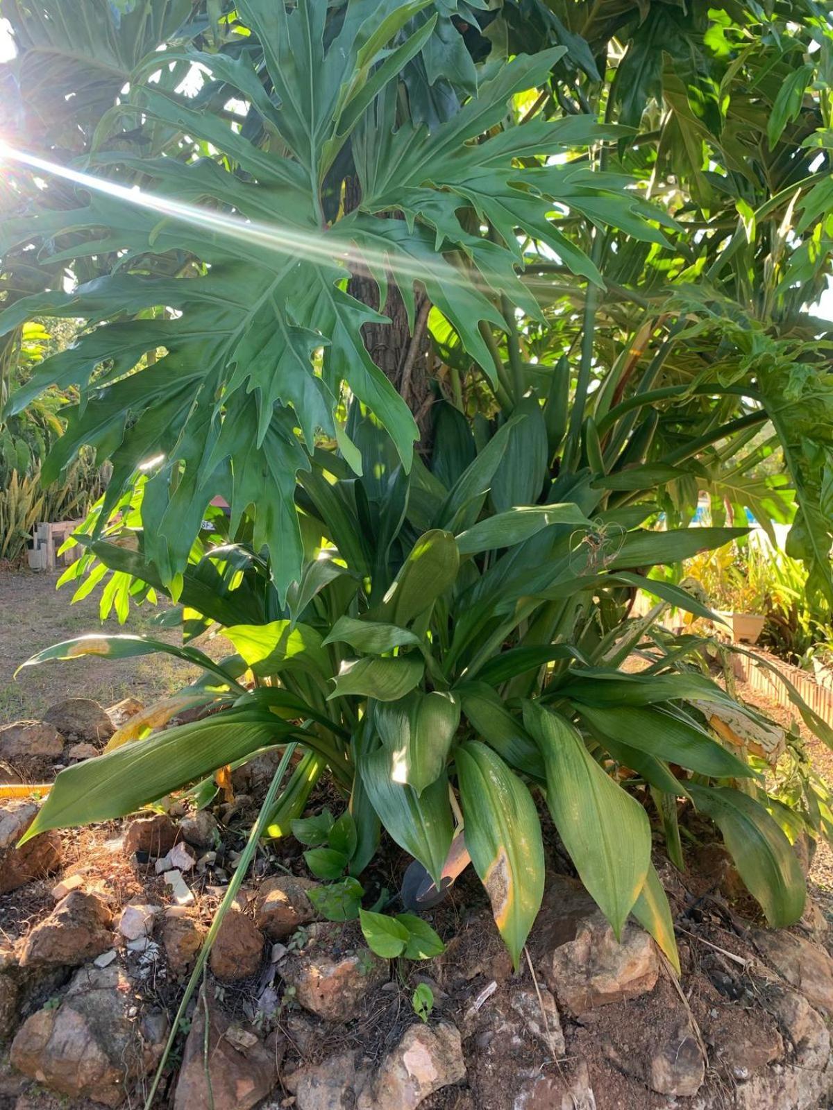 Casa Savana *